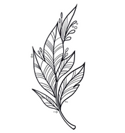 Plant €150